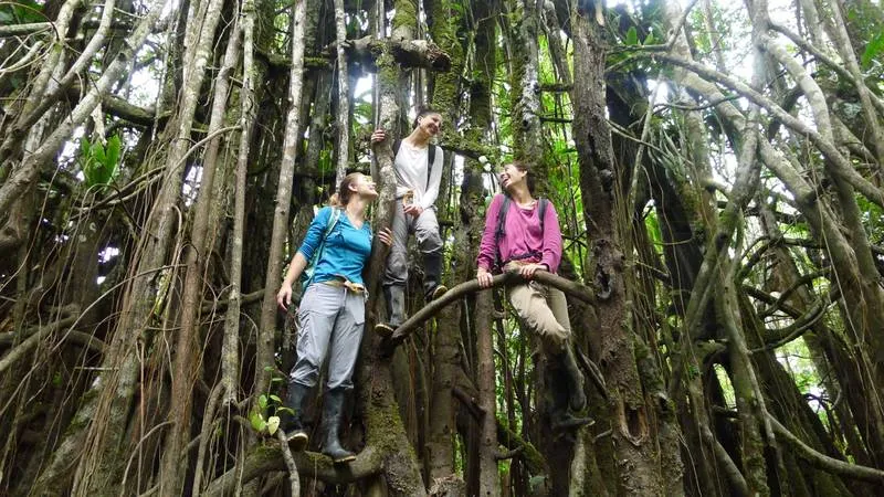 Programa Sabalillo de 3 Días y 2 Noches en Marupa Expeditions Amazon Tours. Paquete Turistico en Iquitos - Perú